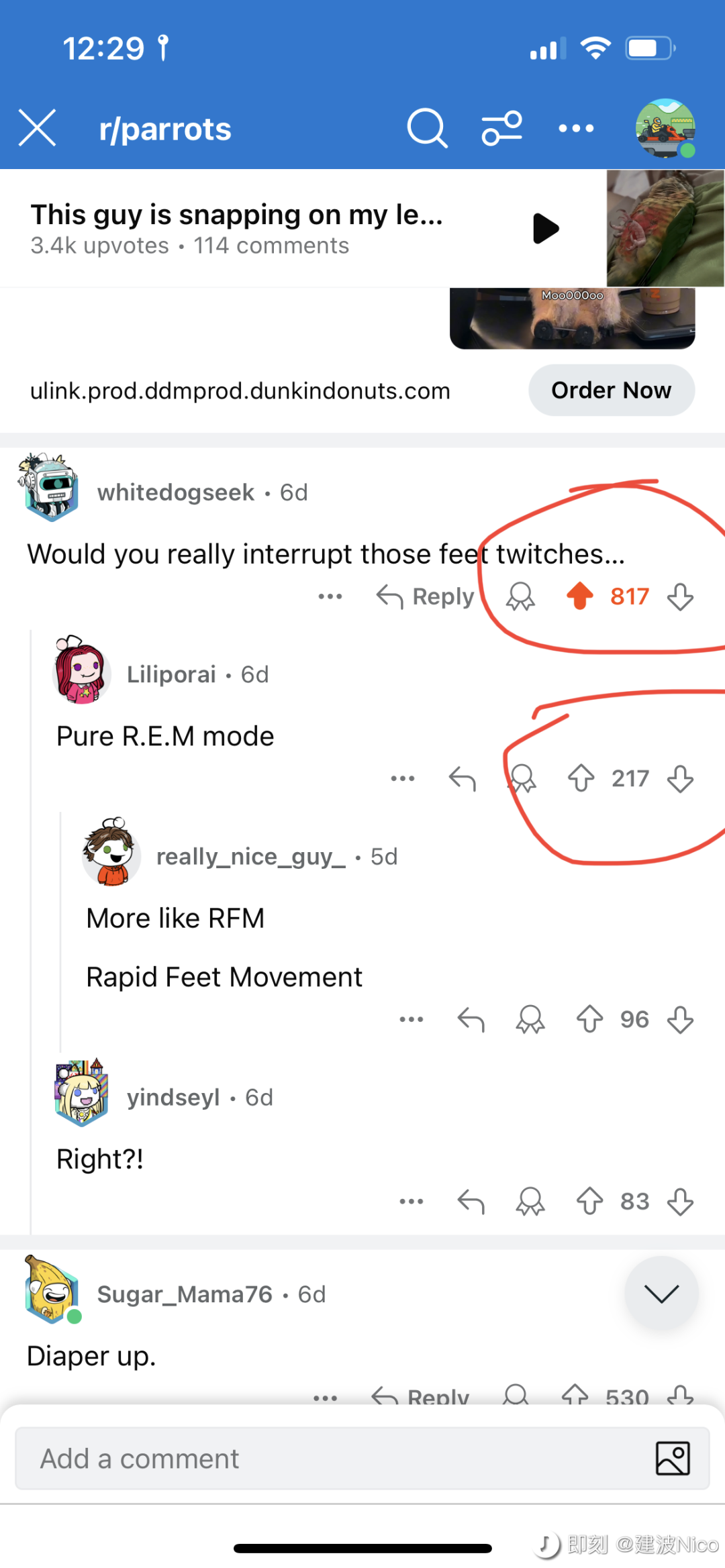 4212310ce7f64b24.png